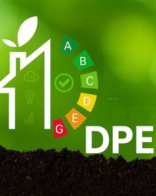 Audit, DPE et PPT